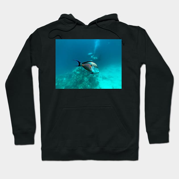 surgeonfish in the reef Hoodie by likbatonboot